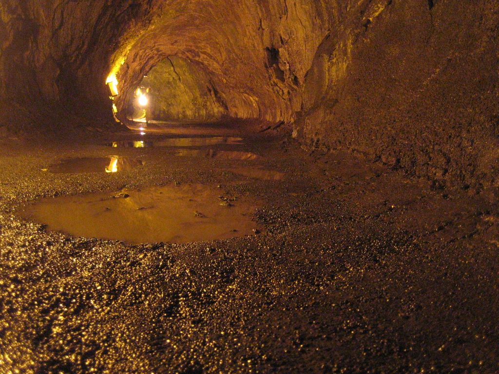 20070115_thurston_lava_tube_17.jpg (large)