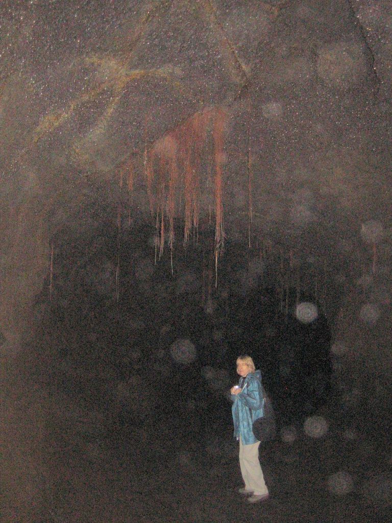 20070115_thurston_lava_tube_26.jpg (large)