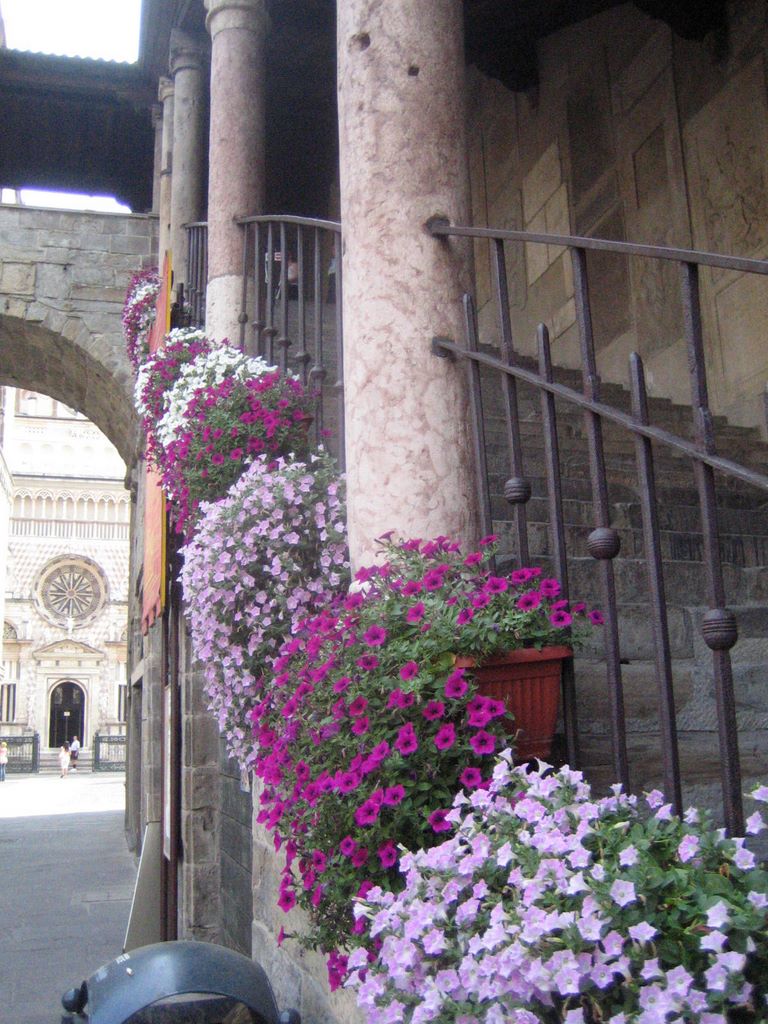 20060725_bergamo_047_ragione_stairway.jpg (large)