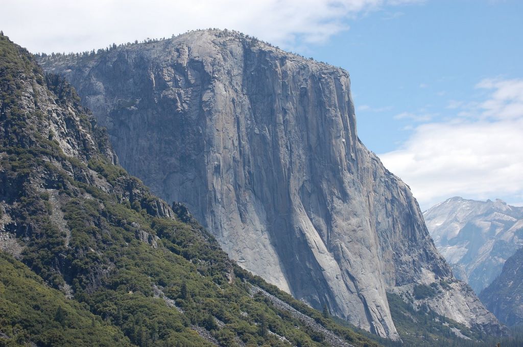 2008_06_02_ca_yosemite_mariposa_grove_tunnel_tree_explanation__247.jpg (large)