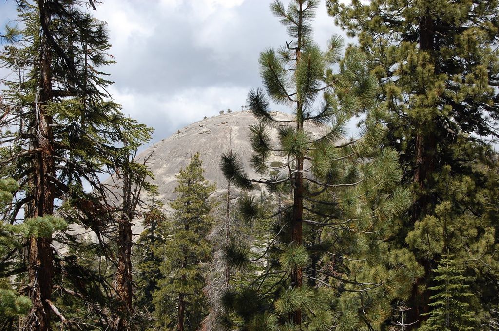 2008_06_04_ca_yosemite_sentinel_dome_6_4_2008_1_44_58_pm.jpg (large)