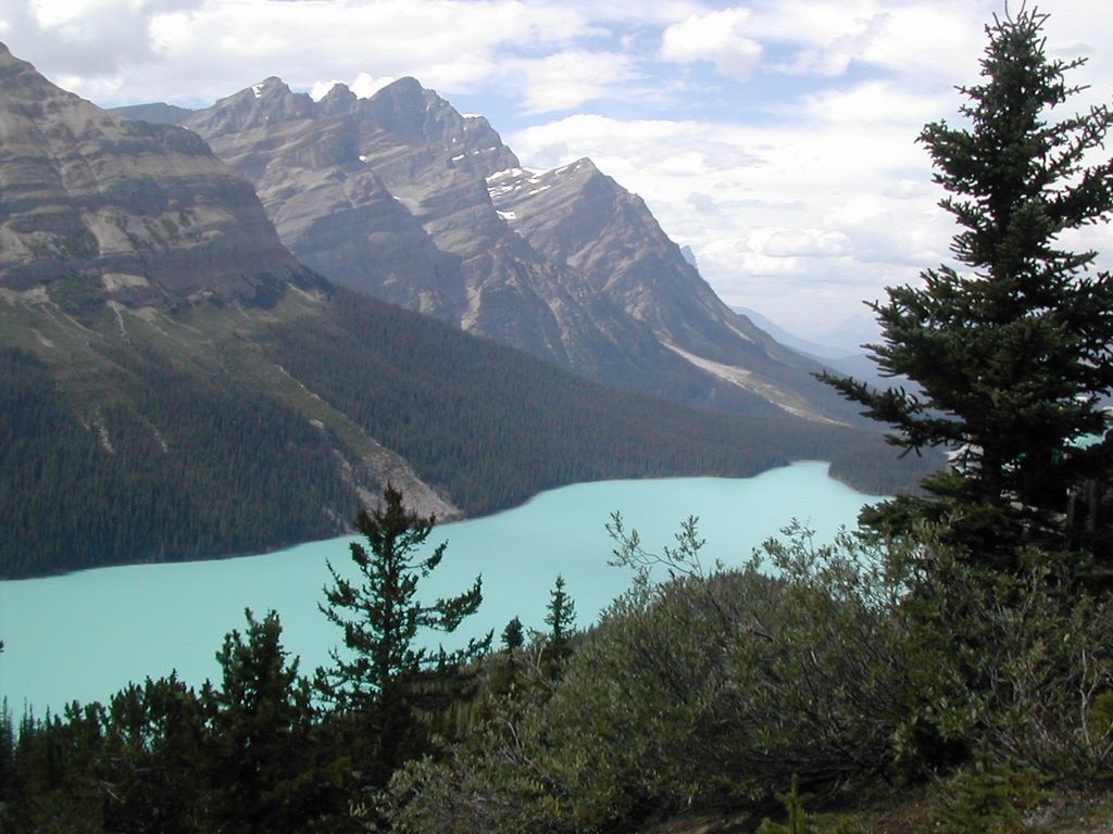 banff_261.jpg (large)